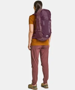 Best ORTOVOX TRAVERSE 28 S mountainrose